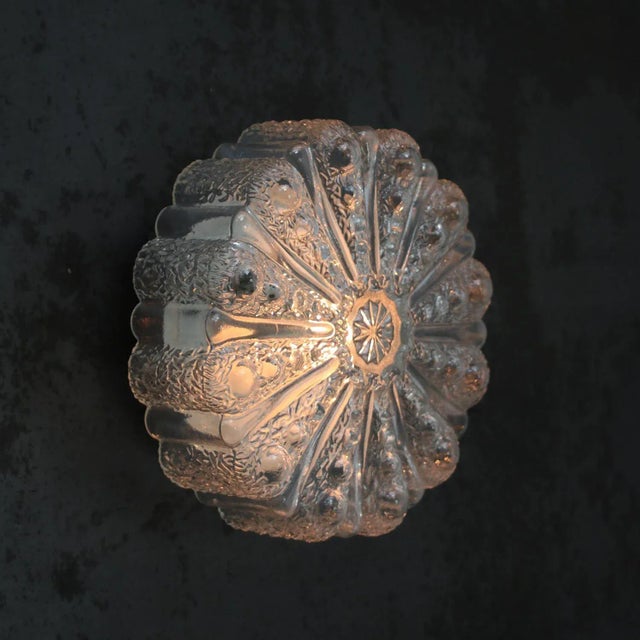 Mid-Century Round Clear Glass Sconce For Sale - Image 4 of 7