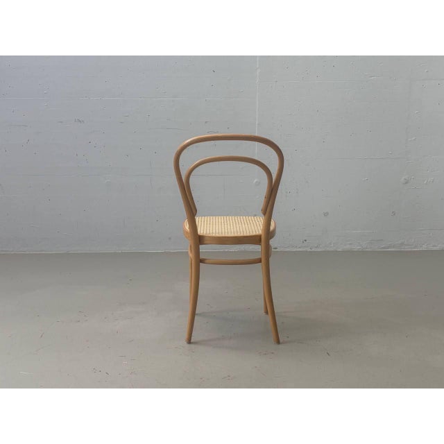 Bentwood Chair with Viennese Caning by Michael Thonet for Wohnbedarf, 1960s For Sale - Image 11 of 18