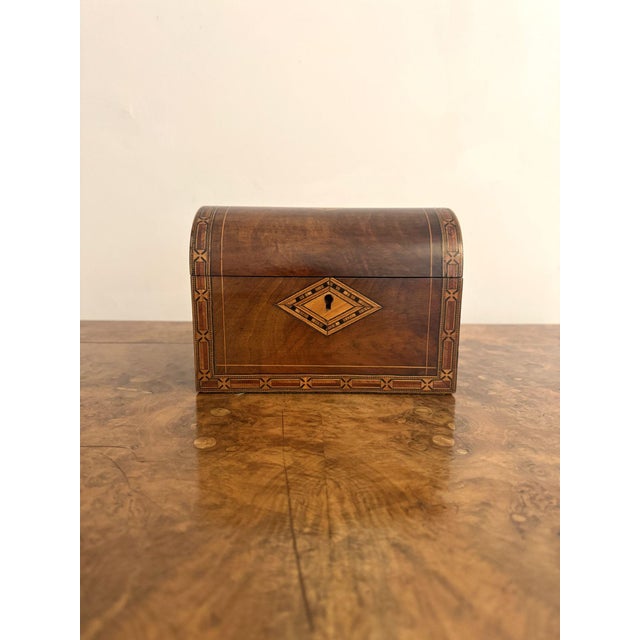 Antique Walnut Tea Caddy with Tunbridge Inlay, 1880 For Sale - Image 9 of 9