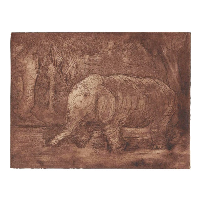 1960s Alexandra Merker Elephant Etching For Sale