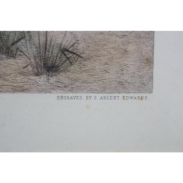 Sculpture Materials Antique Arlent Edwards First Step Puppy Engraving After George Swinstead 37" For Sale - Image 7 of 16