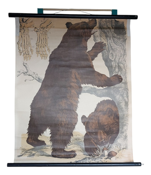 School Poster with Bears from JF Schreiber München, 1920s-1940s