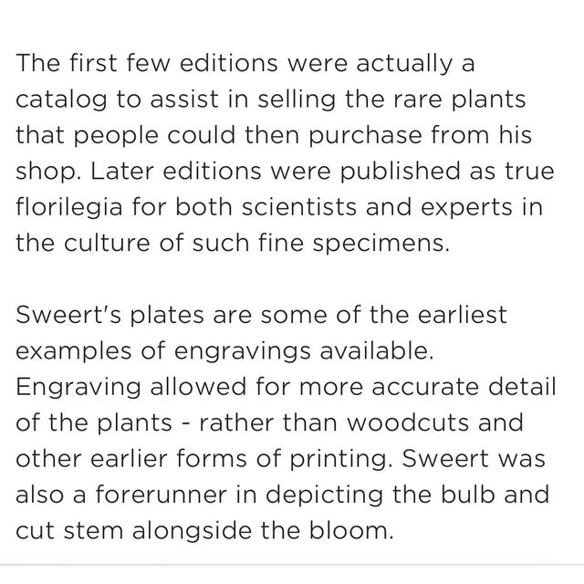 Emanuel Sweert 17th Century Engraving, Hyacinths For Sale In San Francisco - Image 6 of 6