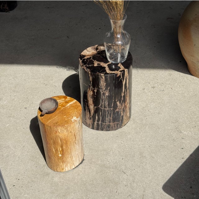 Side Table in Black Petrified Wood with Beige Striations and a Circular Arc For Sale - Image 11 of 18
