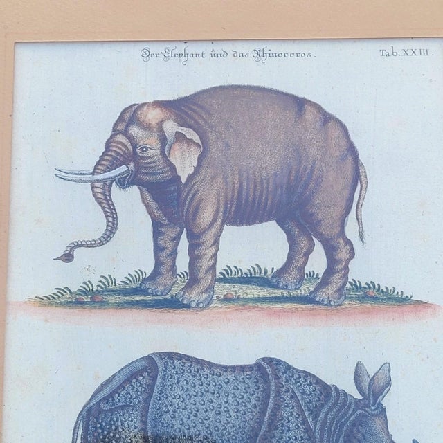 Framed Animal Engravings, 19th Century, Set of 6 For Sale - Image 18 of 18