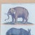 Framed Animal Engravings, 19th Century, Set of 6 For Sale - Image 18 of 18