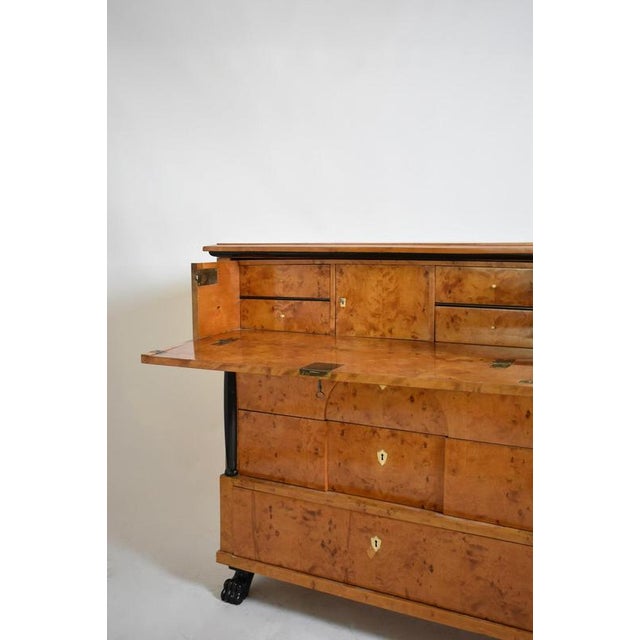 Biedermeier Chest of Drawers, 19th Century For Sale - Image 5 of 6