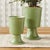 Early 21st Century Kelcy Footed Cachepots, Set Of 2 For Sale - Image 5 of 6