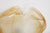French Tulip and Fish Wall Sconce in Chrome and Peach Marbled Glass, 1940s For Sale - Image 10 of 11