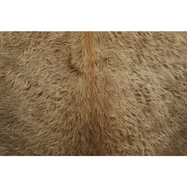 Contemporary Rug & Kilim’s Extra Large Cowhide Rug in Beige-Brown and Cream Tones For Sale - Image 3 of 7