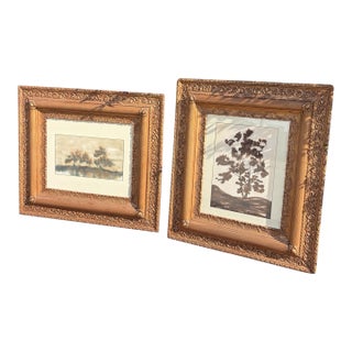 Antique Mid-Century Modern Framed Watercolor Paintings by C. Winterle - a Pair For Sale