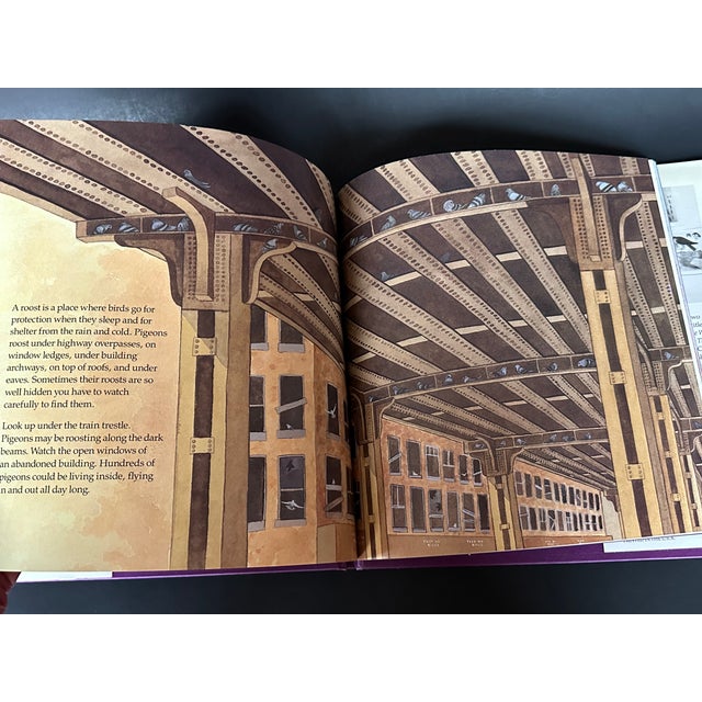 New York City Urban Roosts Vintage Children's Book For Sale - Image 9 of 11