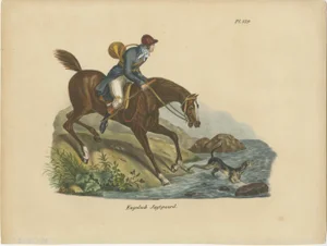 English Horses, 1845, Hand Colored Prints, Set of 3