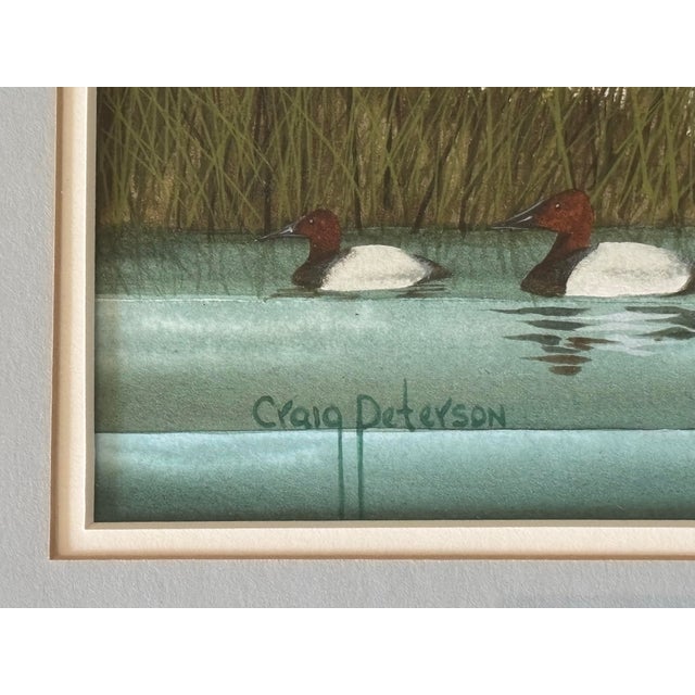 American Canvasback Duck Watercolor Landscape by American Artist Craig Peterson (1946-2024), Framed For Sale - Image 3 of 11