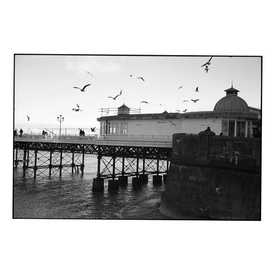 Paul Cooklin, Seagulls, Silver Gelatin Photograph, Limited Edition of 10 For Sale