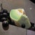 Pyramidal by Blair Atherholt | Oil on panel Still life of a melon slice and black berries For Sale - Image 4 of 5