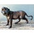 Hollywood Regency Vintage Bronze Tiger Sculptures - A Pair For Sale - Image 3 of 12
