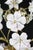 Charming Murano Vintage Chandelier White and Pink Flowers For Sale - Image 9 of 11