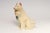 Circa 1940s/50s Americana painted chalkware collie dog figurine in off-white with blue bow decoration. These figurines...