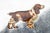 Exquisite Thomae Co. Sterling Silver Springer Spaniel Dog Hand Painted Enamel Antique Art Deco Cigarette Card Case For Sale - Image 4 of 14