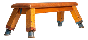 Vintage European Leather Gym Bench, 1950s