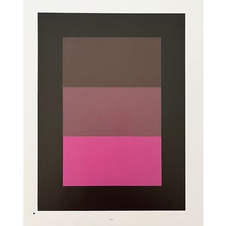 2009 Josef Albers the Interaction of Color Plate Xv-2 For Sale