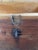 Antique Chest in Thick Pine Wood, 1870 For Sale - Image 12 of 13