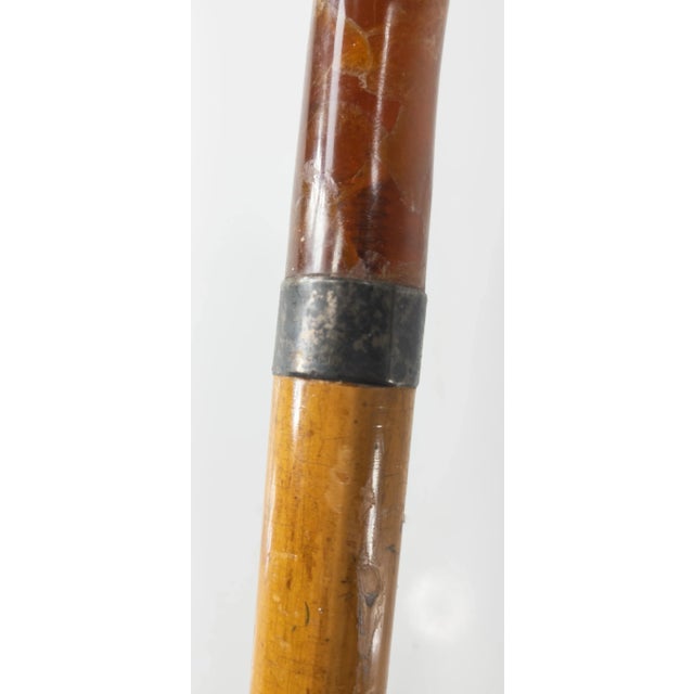 Victorian Walking Stick or Cane With Amber Handle For Sale - Image 9 of 13