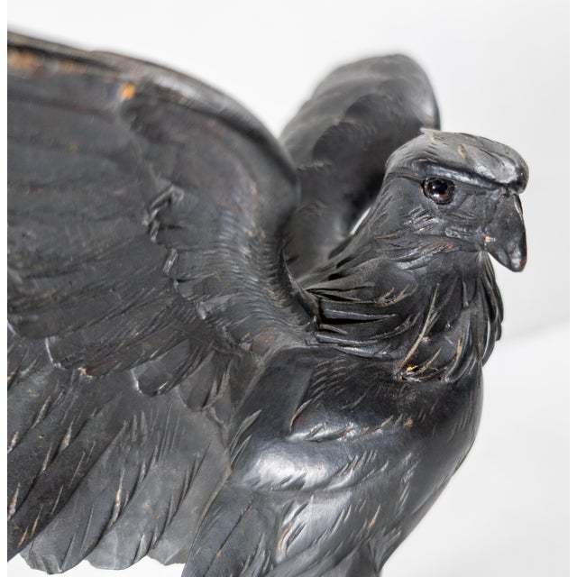 19th Century German or Swiss Black Forest Carved Eagle Bird of Prey For Sale - Image 10 of 12
