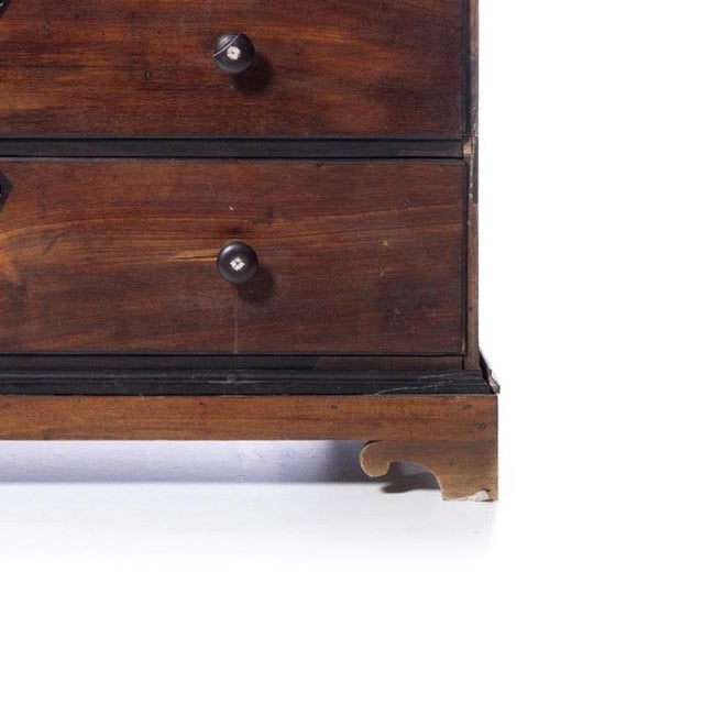 19th Century Queen Maria Chest of Drawers in Vinhatico Wood For Sale - Image 5 of 6