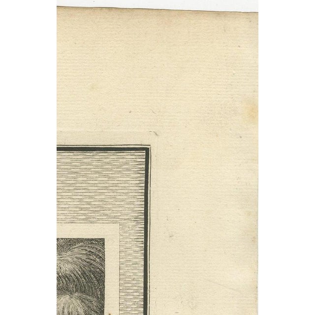 Beige Pieter Mortier, Fire Consumes Aaron's Offering and Death of Nadab and Abihu, 1700, Engraving For Sale - Image 8 of 12