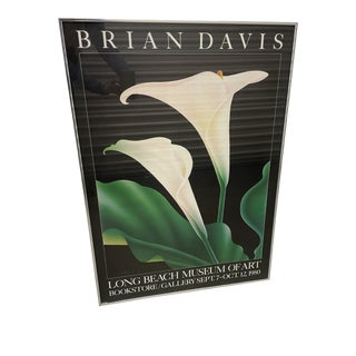 1980s Long Beach Museum of Art Brian Davis Exhibition Poster, Framed For Sale