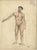 Late 19th Century Kuhff, Human Body, 1879, Paper For Sale - Image 5 of 5