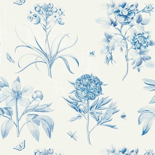 Sanderson Etchings & Roses Wallpaper in China Blue - a Sample For Sale