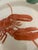 1990s 1992 Fitz and Floyd “Fish Market” 20” Trompe l‘Oeil Lobster Serving Platter For Sale - Image 5 of 10