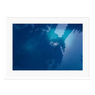 Stuart Möller, Blue, 2020, Colour Photograph For Sale