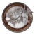 Paper Mache Fig Branch in Cartapesta Round Frame For Sale