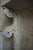 Art Nouveau Hall Tree For Sale - Image 12 of 13