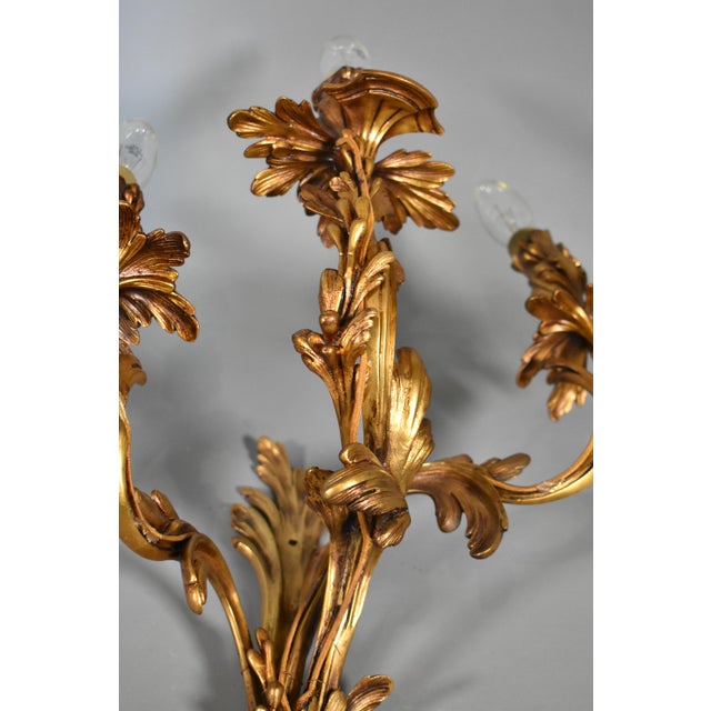 Large Louis XV Style Gilt Bronze Wall Sconces, 1890s, Set of 2 For Sale - Image 10 of 17