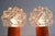 Wall Lamps from Kamenický Šenov, 1970, Set of 2 For Sale - Image 12 of 16