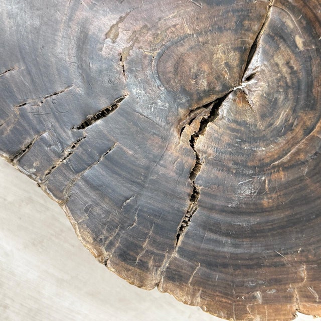 Wood Large Dark Brown Reclaimed Tree Trunk Side Pedestal Table For Sale - Image 7 of 8