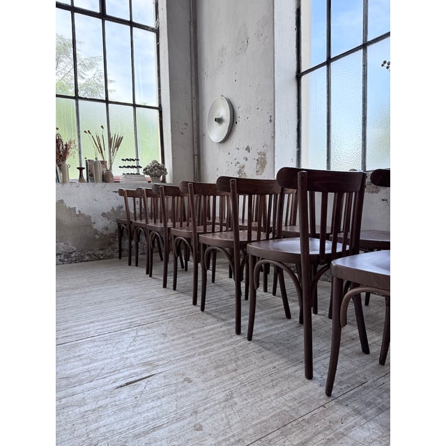 Walnut Bistro Chairs, 1970s, Set of 14 For Sale - Image 18 of 18