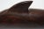 Brown Vintage Ironwood Dolphin Sculpture For Sale - Image 8 of 9