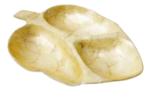Vintage Divided Capiz Shell Leaf Tray