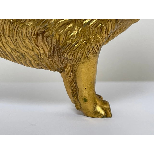 Early 20th Century Small Traditional Early 20th Century English Gilt Bronze Spitz Dog Car Mascot Figurine For Sale - Image 5 of 12