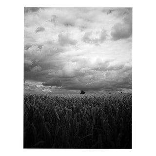 Paul Cooklin, Wheat Field, Occold III, Edition of 50 For Sale