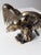Vintage Brass Eagle Statue For Sale - Image 10 of 11