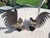 Pair of Vintage Brass Roosters For Sale - Image 11 of 12