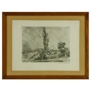 Arnoldo Ciarrocchi, Landscape, 1970s, Etching For Sale
