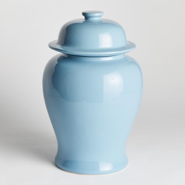 In an unexpected smaller size for traditional ginger jars, this is a modern take on a classic. The soft blue high gloss...